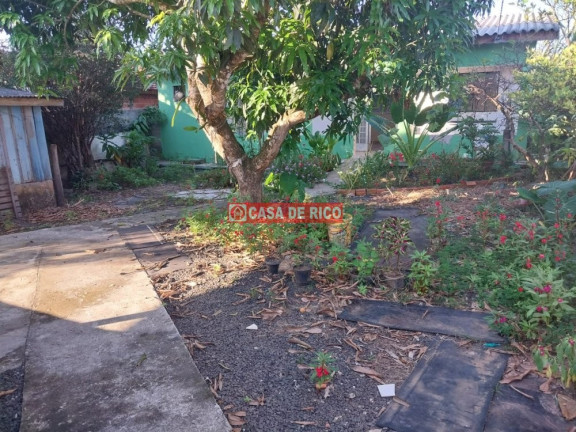 Imagem Casa com 2 Quartos para Alugar, 45 m² em Jardim Leonor - Figueira Imagem Casa com 2 Quartos para Alugar, 45 m² em Jardim Leonor - Figueira