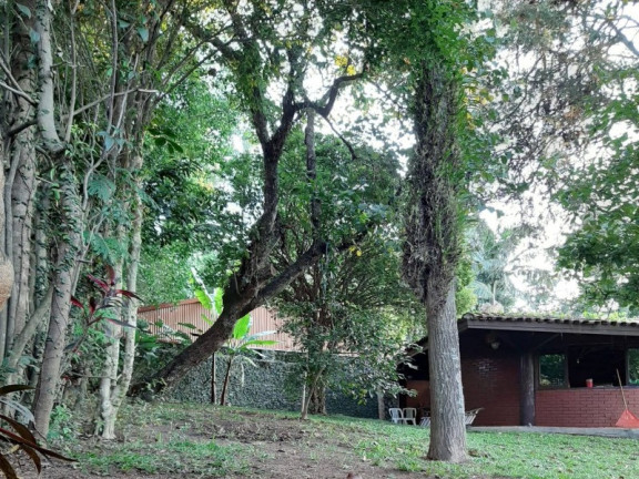 Casa com 3 Quartos à Venda, 450 m² em Vila Albertina - São Paulo