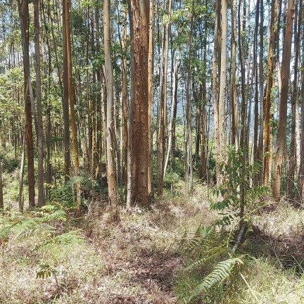 Imagem Terreno à Venda, 14 m² em Lumiar - Boa Esperanca - Nova Friburgo