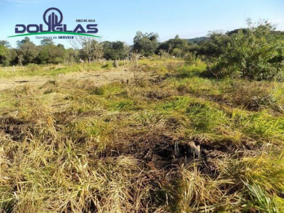 Imagem Terreno à Venda, 1.350 m² em águas Claras - Viamão Imagem Terreno à Venda, 1.350 m² em águas Claras - Viamão