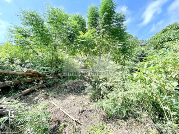 Imagem Imóvel à Venda, 907 m² em Granja Viana - Cotia Imagem Imóvel à Venda, 907 m² em Granja Viana - Cotia