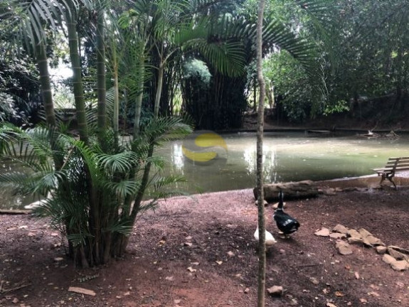 Imagem Casa de Condomínio com 3 Quartos à Venda, 328 m² em Chácara Pavoeiro - Cotia Imagem Casa de Condomínio com 3 Quartos à Venda, 328 m² em Chácara Pavoeiro - Cotia