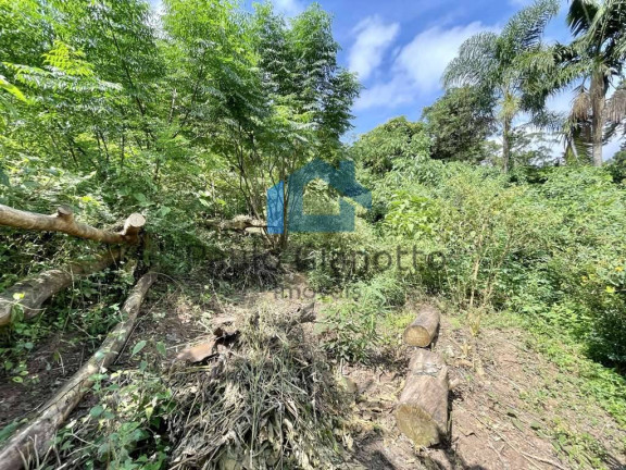 Imagem Terreno em Condomínio à Venda, 907 m² em Granja Viana - Cotia Imagem Terreno em Condomínio à Venda, 907 m² em Granja Viana - Cotia