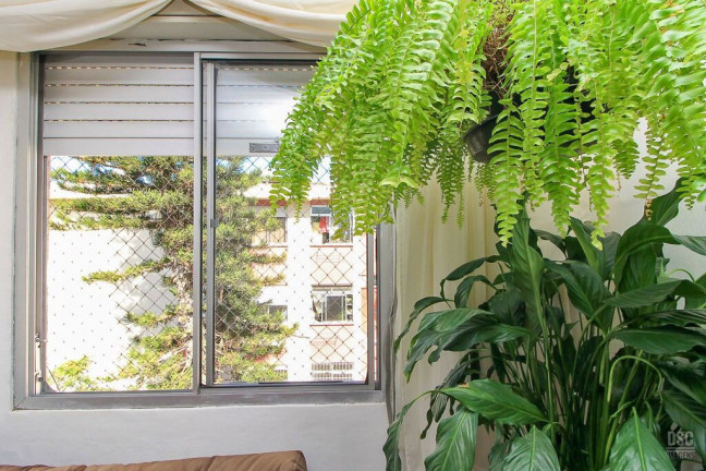 Imagem Apartamento com 3 Quartos à Venda, 60 m² em Vila Nova - Porto Alegre