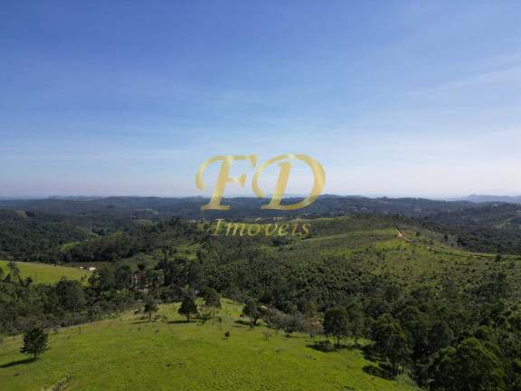Imagem Imóvel Comercial à Venda, 380.000 m² em Terra Preta - Mairiporã