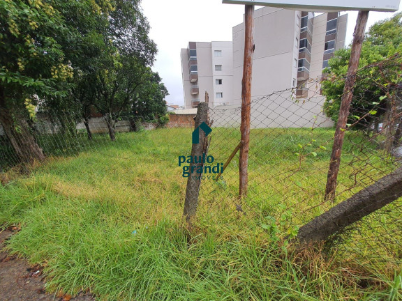 Terreno à Venda, 647 m² em Jardim América - Caxias Do Sul