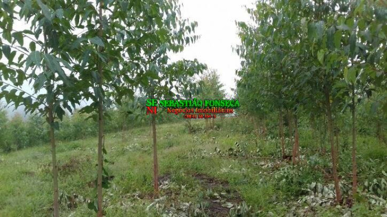 Imagem Chácara à Venda, 30.000 m² em Centro - Monteiro Lobato Imagem Chácara à Venda, 30.000 m² em Centro - Monteiro Lobato