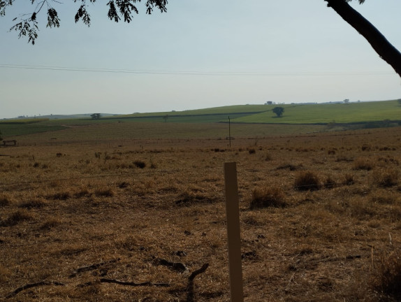 Imagem Imóvel à Venda, 115 m² em área Rural De Lins - Lins Imagem Imóvel à Venda, 115 m² em área Rural De Lins - Lins