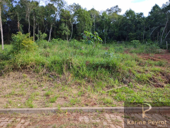 Imagem Terreno à Venda, 250 m² em Campestre - São Leopoldo Imagem Terreno à Venda, 250 m² em Campestre - São Leopoldo