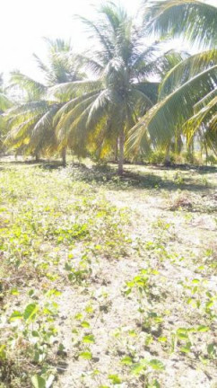 Imagem Terreno à Venda, 2 m² em São Cristóvão - Salvador Imagem Terreno à Venda, 2 m² em São Cristóvão - Salvador