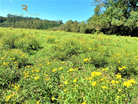Imagem Chácara à Venda, 5.000 m² em Fiuza - Viamão Imagem Chácara à Venda, 5.000 m² em Fiuza - Viamão
