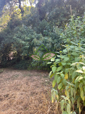 Imagem Terreno à Venda, 1.250 m² em Centro - Itatiba Imagem Terreno à Venda, 1.250 m² em Centro - Itatiba