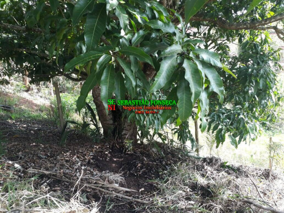 Imagem Chácara à Venda, 750 m² em Sob. Consulta - Paraibuna Imagem Chácara à Venda, 750 m² em Sob. Consulta - Paraibuna