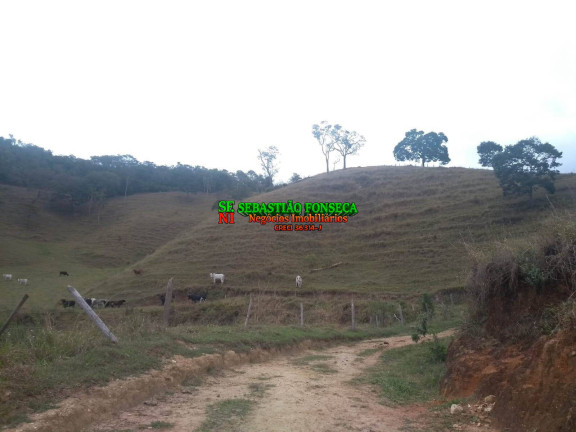 Imagem Chácara à Venda, 13 m² em Centro - São Luíz Do Paraitinga Imagem Chácara à Venda, 13 m² em Centro - São Luíz Do Paraitinga