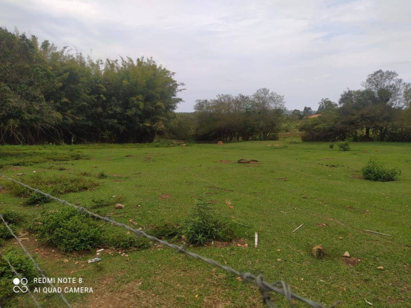 Imagem Terreno à Venda, 21.000 m² em Cruz De Cedro - Quadra