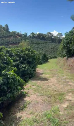 Imagem Fazenda à Venda, 11 m² em Manhumirim Imagem Fazenda à Venda, 11 m² em Manhumirim