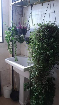 Imagem Apartamento com 1 Quarto à Venda, 70 m² em Ilha Porchat - São Vicente Imagem Apartamento com 1 Quarto à Venda, 70 m² em Ilha Porchat - São Vicente