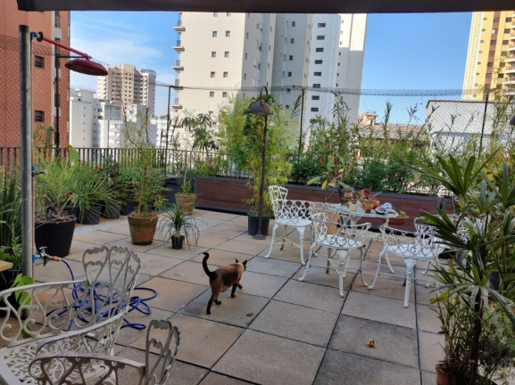 Imagem Cobertura com 2 Quartos à Venda, 81 m² em Perdizes - São Paulo