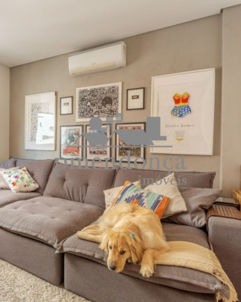 Imagem Apartamento com 3 Quartos à Venda, 163 m² em Higienópolis - São Paulo
