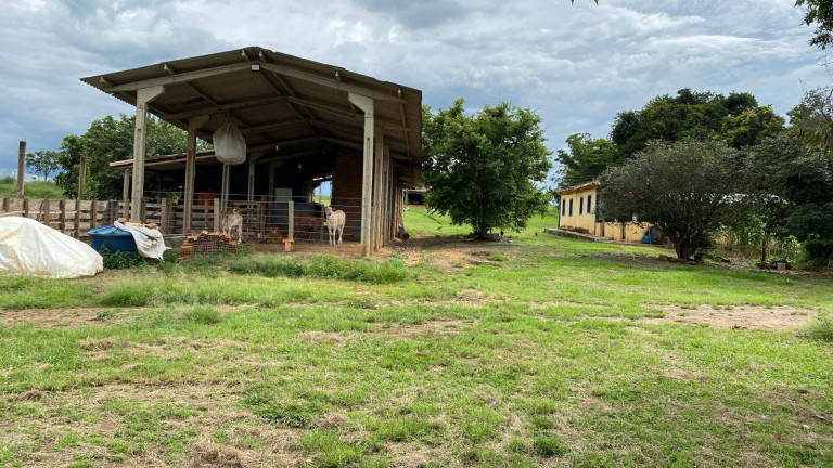 Imagem Fazenda à Venda, 390.000 m² em Santa Cruz De Goiás