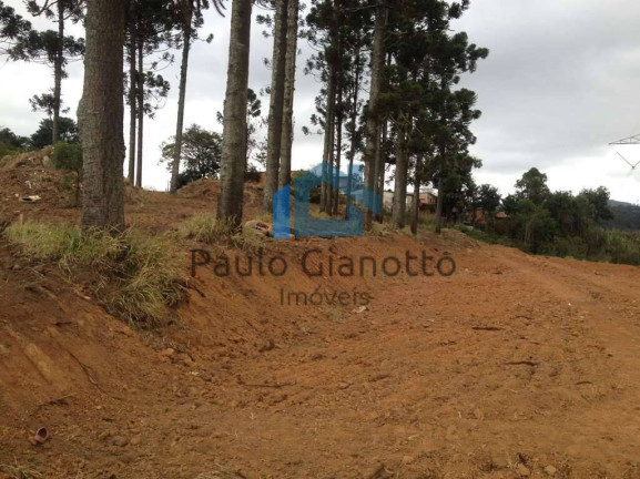 Imagem Terreno à Venda, 2 m² em Jardim ísis - Cotia Imagem Terreno à Venda, 2 m² em Jardim ísis - Cotia