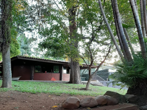 Imagem Casa com 3 Quartos à Venda, 450 m² em Vila Albertina - São Paulo
