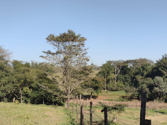 Imagem Chácara com 4 Quartos à Venda, 72.600 m² em Bom Retiro - Porto Feliz