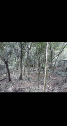 Imagem Terreno à Venda, 1.003 m² em Recreio Da Borda Do Campo - Santo André