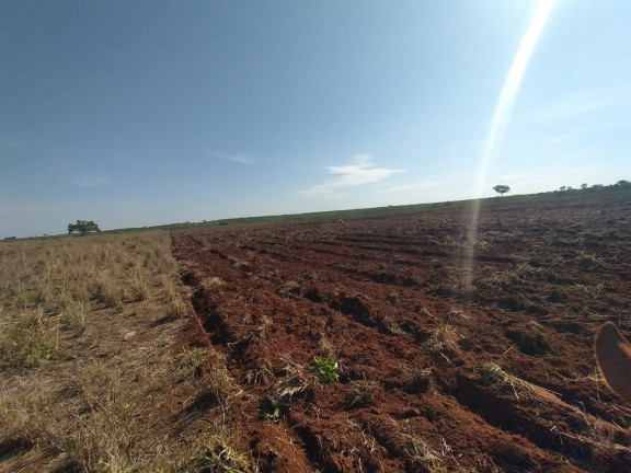 Imóvel à Venda, 314 m² em área Rural De Querência - Querência