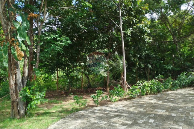 Imagem Casa de Condomínio com 3 Quartos para Alugar, 128 m² em Praia Do Forte - Mata De São João Imagem Casa de Condomínio com 3 Quartos para Alugar, 128 m² em Praia Do Forte - Mata De São João