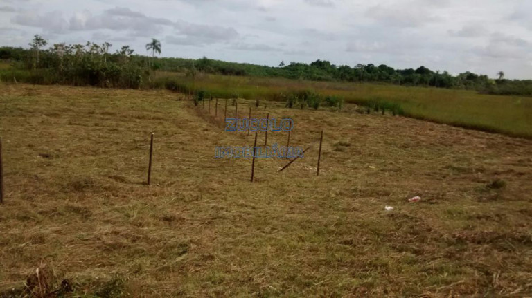 Imagem Terreno à Venda, 6.000 m² em Sorocabinha - Iguape Imagem Terreno à Venda, 6.000 m² em Sorocabinha - Iguape