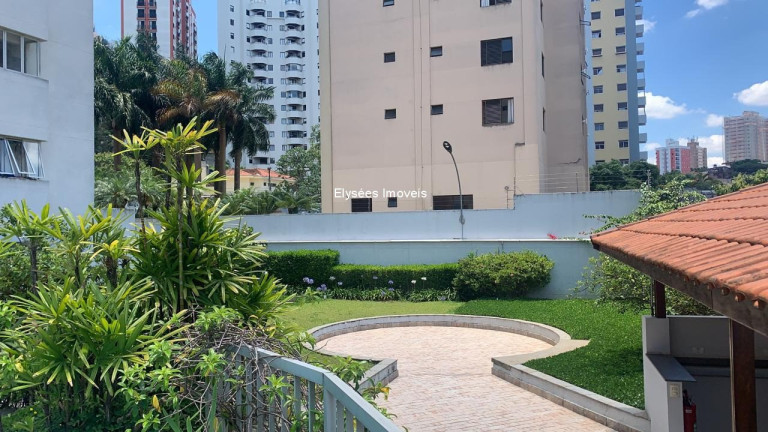 Imagem Imóvel com 3 Quartos à Venda, 230 m² em Vila Mascote - São Paulo