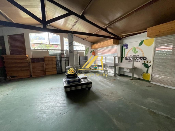 Imagem Imóvel para Alugar, 174 m² em Pituba - Salvador