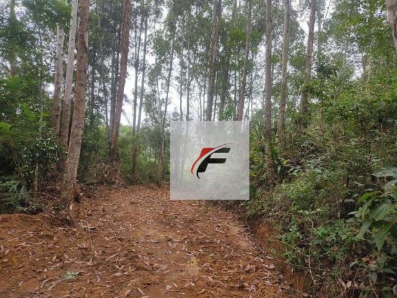 Imagem Chácara com 1 Quarto à Venda, 25.244 m² em Bacaetava - Colombo