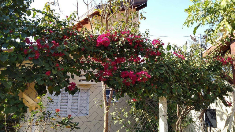 Imagem Chácara com 3 Quartos à Venda, 150 m² em Zona Rural - Corguinho