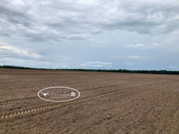 Fazenda à Venda, 144 m² em Zona Rural - Gurupi