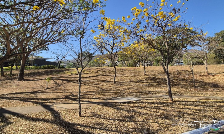 Imagem Terreno à Venda, 1.929 m² em Residencial Aldeia Do Vale - Goiânia Imagem Terreno à Venda, 1.929 m² em Residencial Aldeia Do Vale - Goiânia