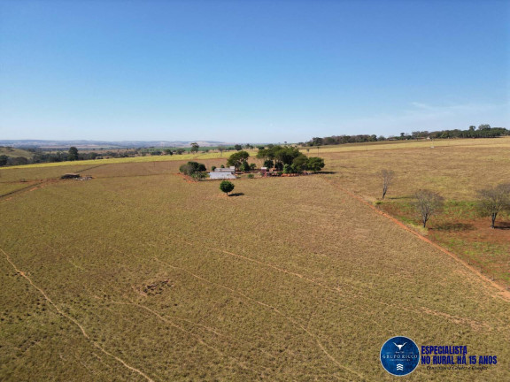 Imagem Chácara à Venda, 3 m² em Zona Rural - Avelinópolis Imagem Chácara à Venda, 3 m² em Zona Rural - Avelinópolis