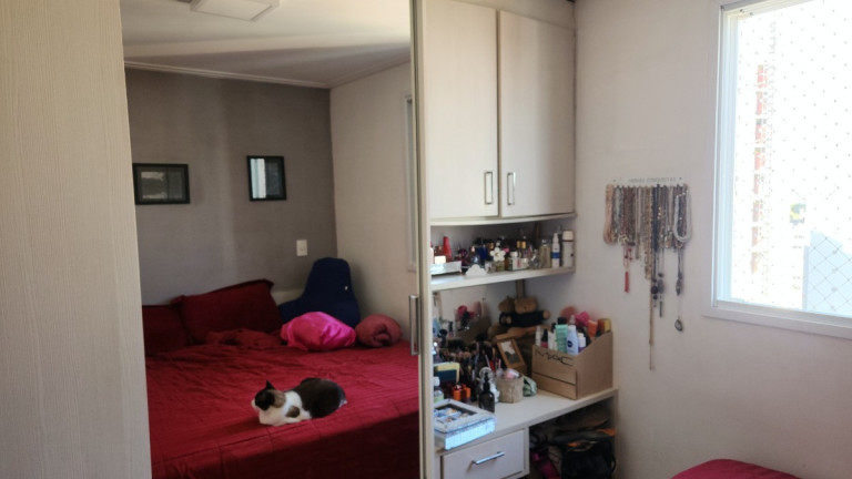 Imagem Apartamento com 3 Quartos à Venda, 66 m² em Vila Guarani (z Sul) - São Paulo Imagem Apartamento com 3 Quartos à Venda, 66 m² em Vila Guarani (z Sul) - São Paulo