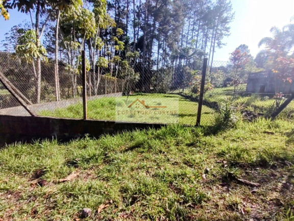 Imagem Imóvel com 5 Quartos à Venda, 5.875 m² em Palmeiras - Juquitiba Imagem Imóvel com 5 Quartos à Venda, 5.875 m² em Palmeiras - Juquitiba