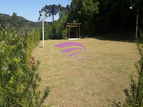Imagem Imóvel à Venda, 25.892 m² em Borda Do Campo - São José Dos Pinhais Imagem Imóvel à Venda, 25.892 m² em Borda Do Campo - São José Dos Pinhais