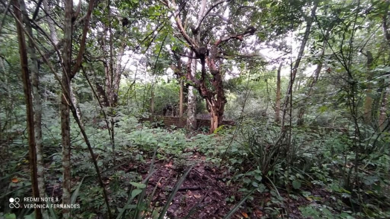 Imagem Terreno à Venda, 5.000 m² em Aldeia Dos Camarás - Camaragibe Imagem Terreno à Venda, 5.000 m² em Aldeia Dos Camarás - Camaragibe