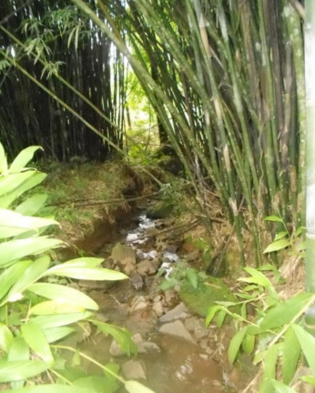Imagem Terreno à Venda, 190.000 m² em Linha Olinda - Nova Petrópolis Imagem Terreno à Venda, 190.000 m² em Linha Olinda - Nova Petrópolis