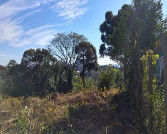 Terreno à Venda, 661 m² em Vale Verde - Nova Petrópolis