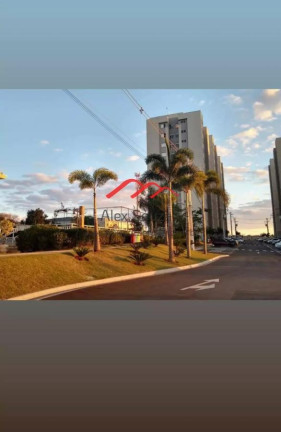 Imagem Apartamento com 2 Quartos à Venda, 50 m² em Jardim Maria Luíza - Sumaré