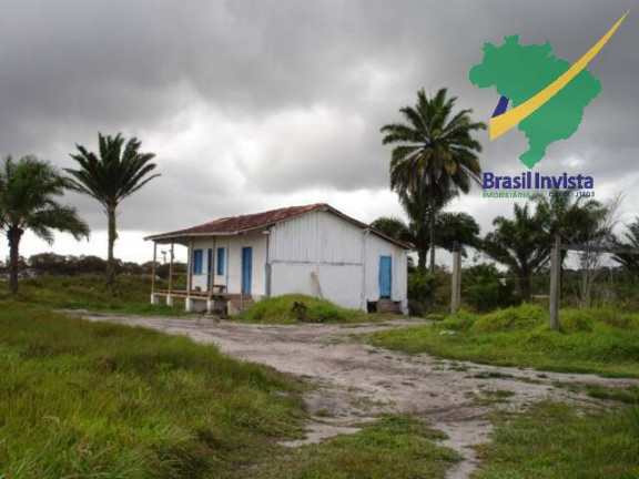 Imagem Fazenda à Venda, 12 m² em Centro - Buerarema Imagem Fazenda à Venda, 12 m² em Centro - Buerarema