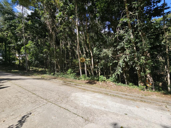 Terreno à Venda, 5.000 m² em Green Valleiy - Teresópolis