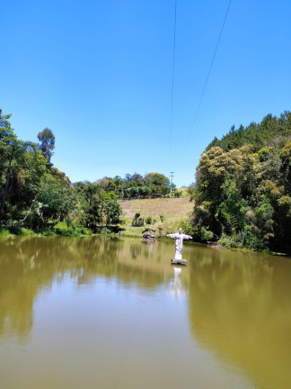 Imagem Imóvel com 3 Quartos à Venda, 27.000 m² em Centro - Contenda