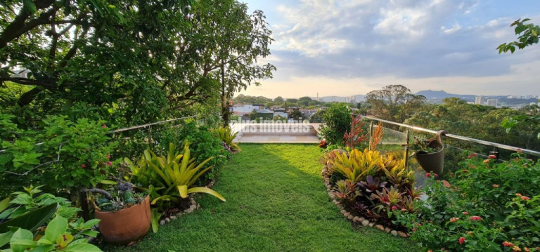 Imagem Casa com 4 Quartos à Venda, 1.044 m² em Vila Ipojuca - São Paulo Imagem Casa com 4 Quartos à Venda, 1.044 m² em Vila Ipojuca - São Paulo