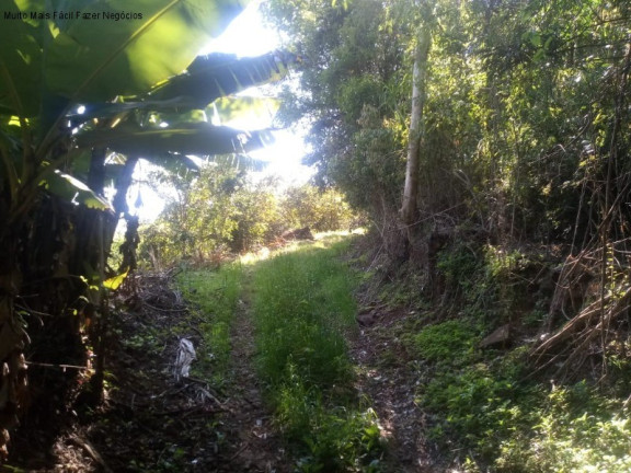 Imagem Terreno à Venda, 2 m² em Linha Temerária - Nova Petrópolis